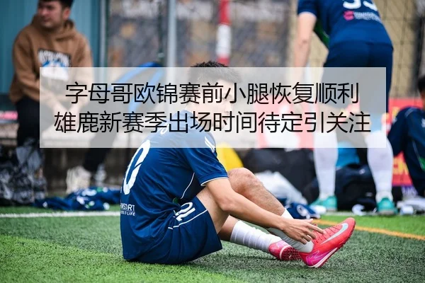 字母哥欧锦赛前小腿恢复顺利 雄鹿新赛季出场时间待定引关注